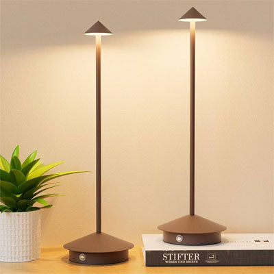 lampe de table proche du pot fleur